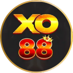 TRANG CHỦ 29 16 1752105136071 slide